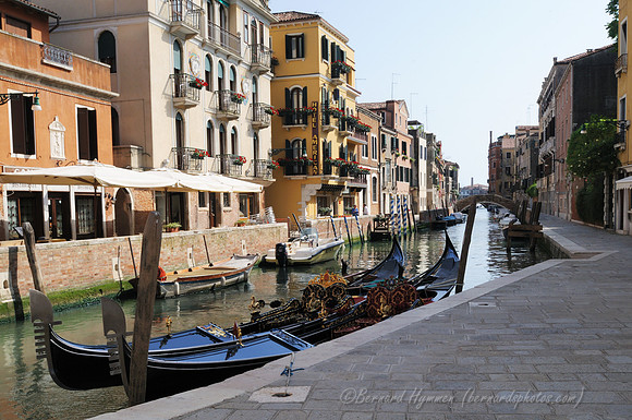 D300_45211.jpg