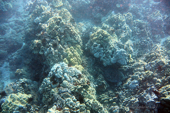 1 AW1_127783
