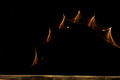 D300_62554_touch