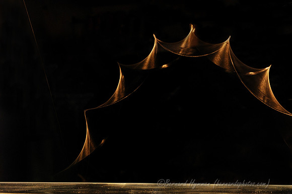 D300_62554_touch