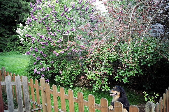 2004-05-01 Home(P)_02