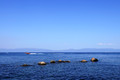 D300_65152