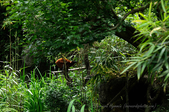 D300_98348