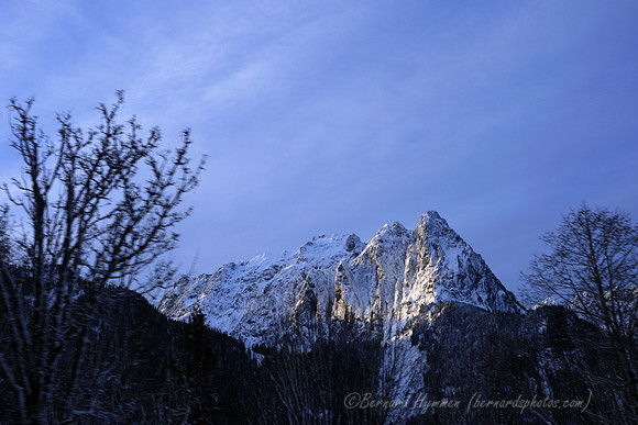 D300_59540