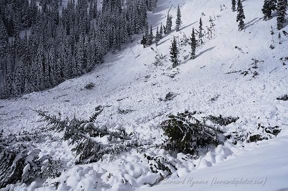 D300_61993