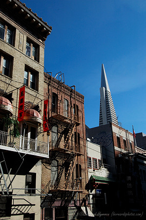D70_22417