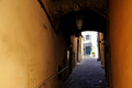 D300_135517