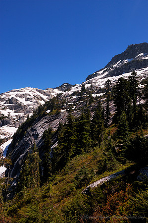 D70_23174