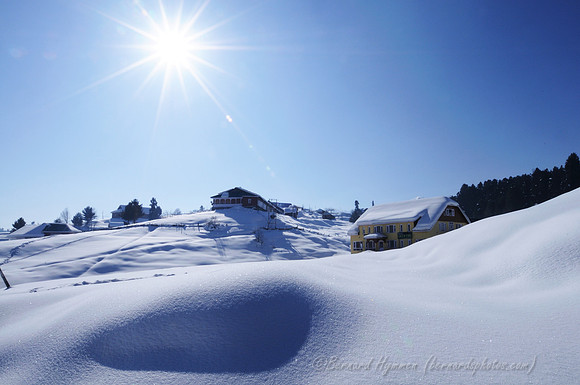 D300_69780