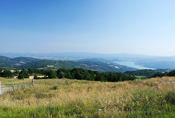 D300_136122