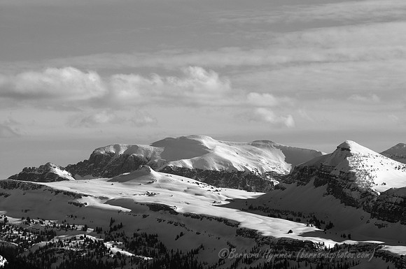 D300_60254