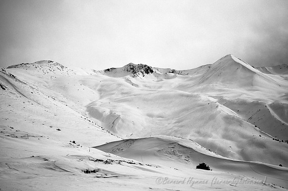 D300_69761