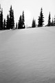 D300_30879