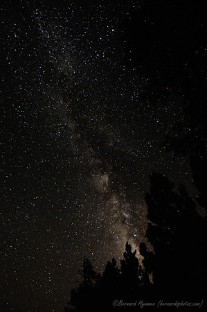 D300_65178