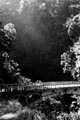 D300_58508