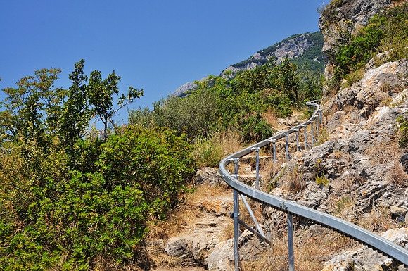D300_134703