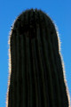 D70_27448