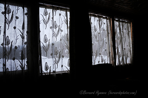 D300_69328