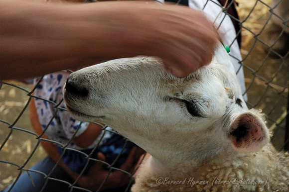 D70_069602004-09-05_01