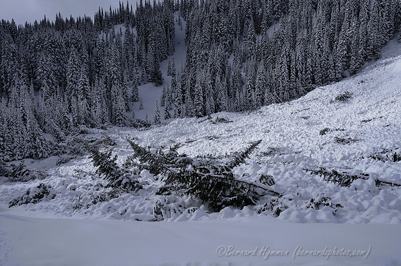 D300_61980
