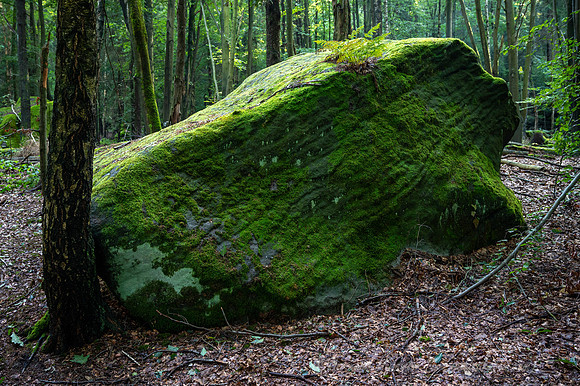 Z6_186667