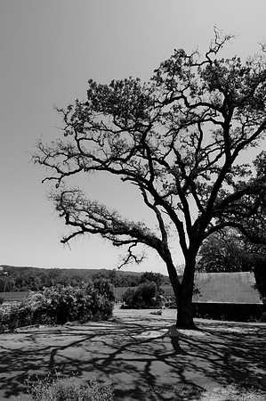 D300_32086
