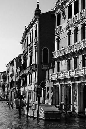 D300_45740.jpg