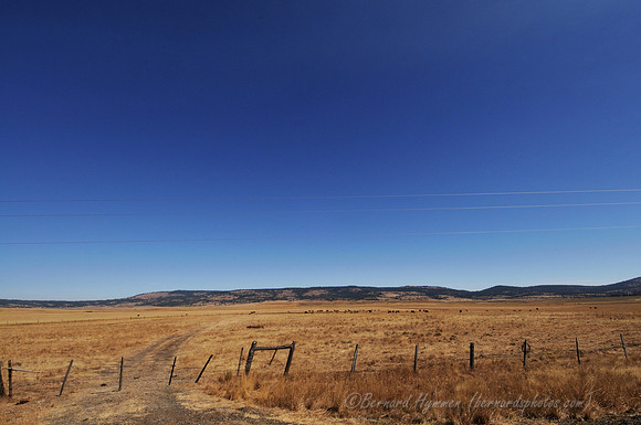 D300_136880