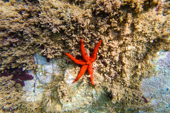 SL3_187954