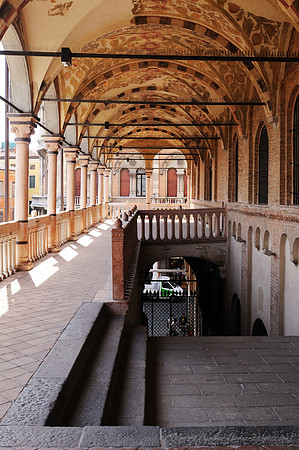 D300_47526.jpg