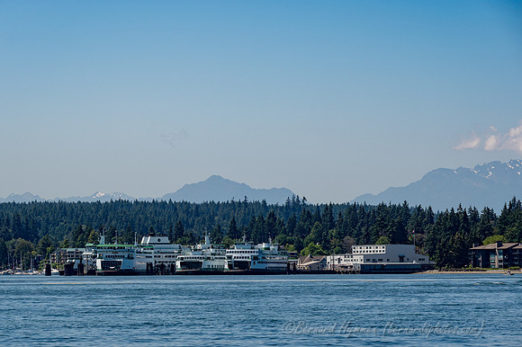 Z6_185865