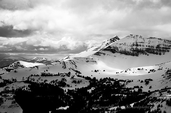 D300_141084