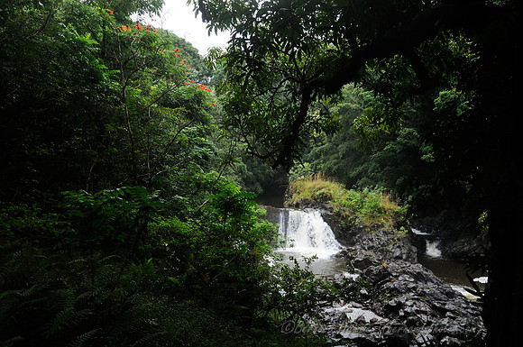 D300_126057