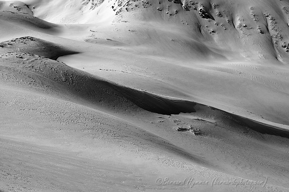 D300_69274