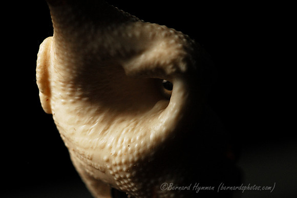 D70_22823