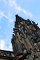 D300_74532