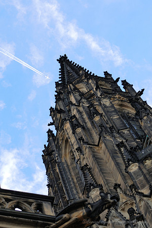 D300_74532