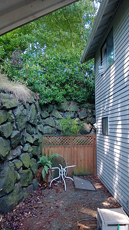 WP_20130730_001