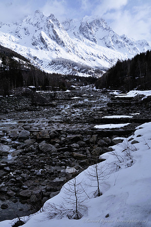 D300_84873