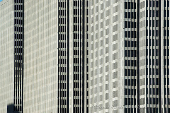 D70_22493