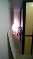 WP_20141212_22_47_09_Pro