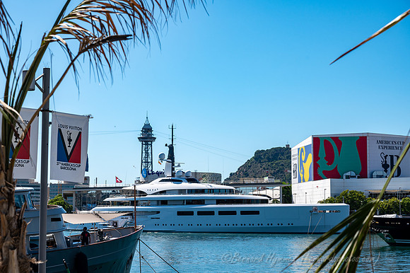 Z6_187339