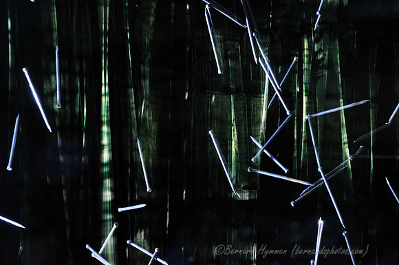 D300_63360