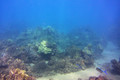 1 AW1_127634