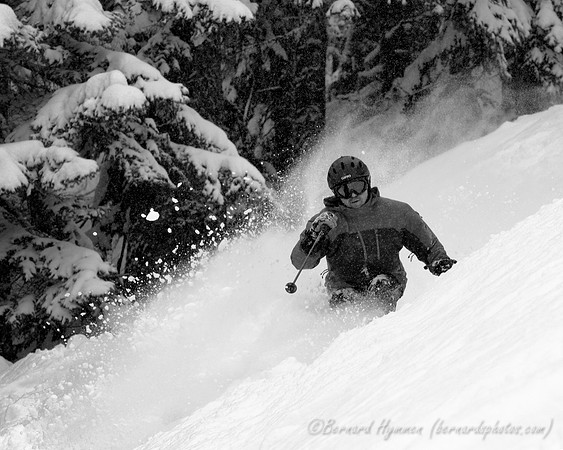 D300_54395bw