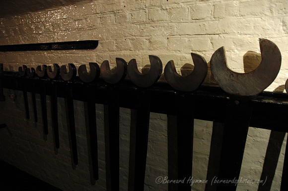 D70_046952004-08-16_01