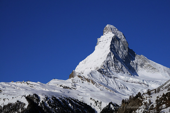 D300_85246