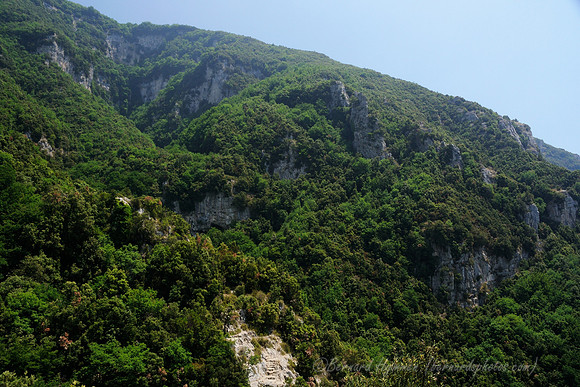 D300_135041