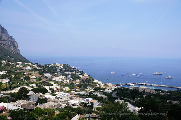 D300_135291