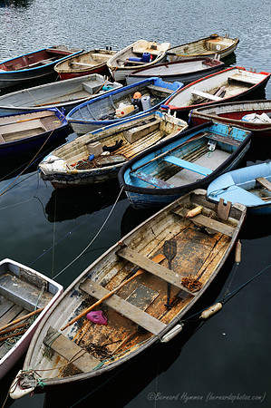 D300_100383